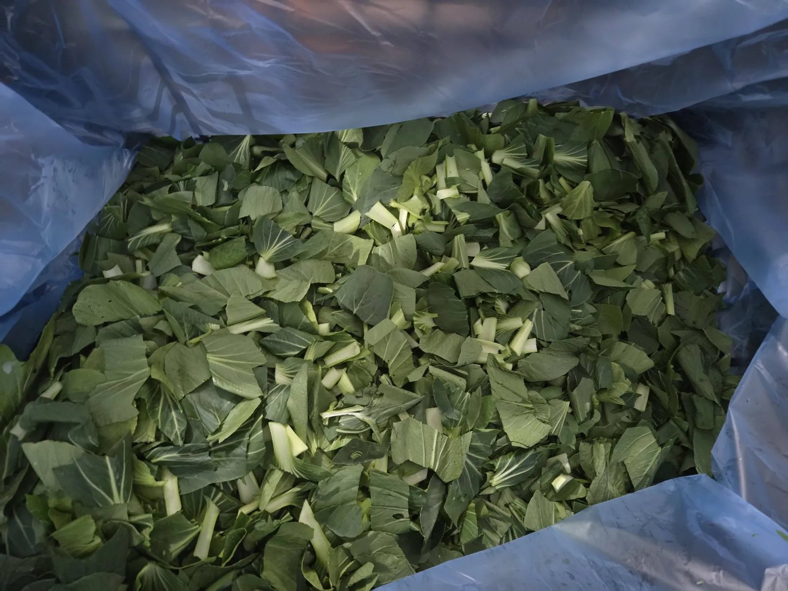 袋裝的截切綠色葉菜段