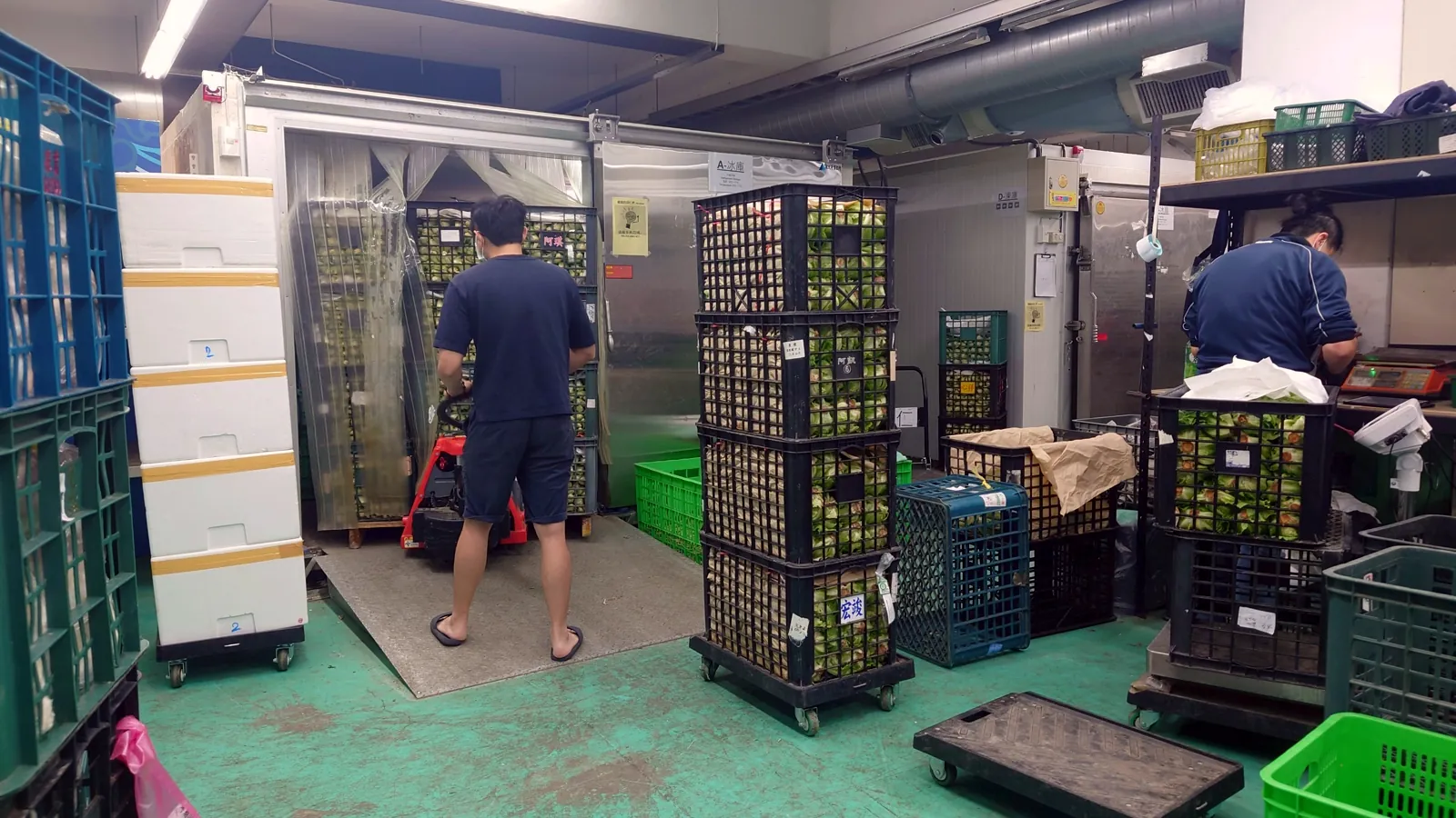員工把整板蔬菜推進冷藏庫